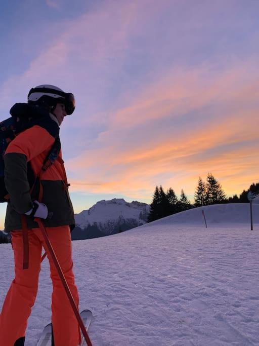Androsace Appartement Dans Chalet Bois Avec Jacuzzi Privatif Terrasse Et Vue Montagne Les Villards-sur-Thones ภายนอก รูปภาพ