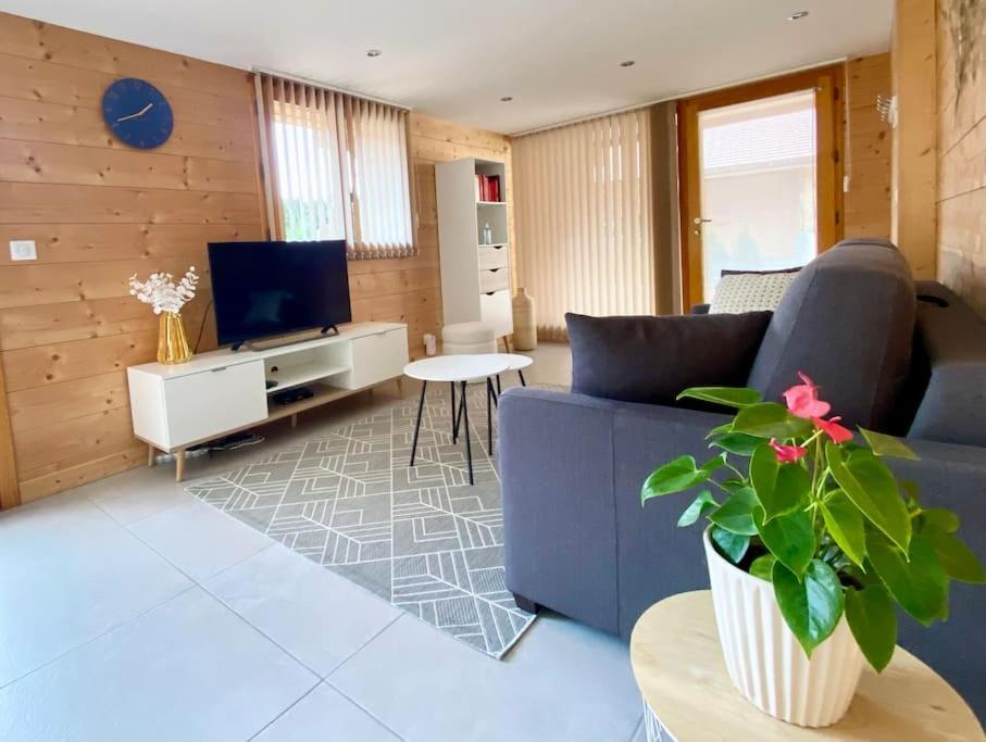 Androsace Appartement Dans Chalet Bois Avec Jacuzzi Privatif Terrasse Et Vue Montagne Les Villards-sur-Thones ภายนอก รูปภาพ