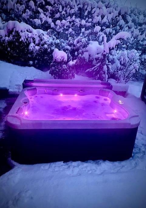 Androsace Appartement Dans Chalet Bois Avec Jacuzzi Privatif Terrasse Et Vue Montagne Les Villards-sur-Thones ภายนอก รูปภาพ